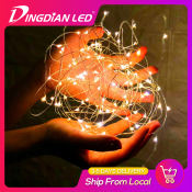 DingDian LED Battery Operated Fairy Lights - Holiday Decoration