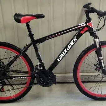 cheap mountain bike with disc brakes