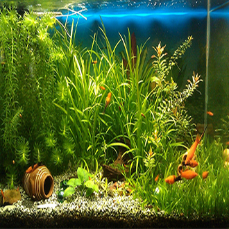 AQUARIUM BACKGROUND, TANK BACKGROUND TARP, TARPAULIN, NO ADHESIVE ...