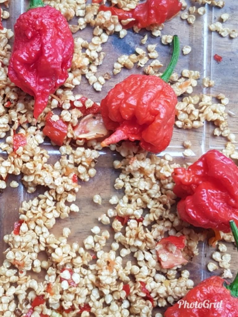 Carolina Reaper Seeds review and price