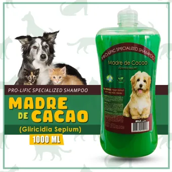 anti galis shampoo for dogs