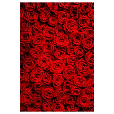 3x5ft Red Rose Studio Photography Photo Backdrop Background Wedding Party Decor