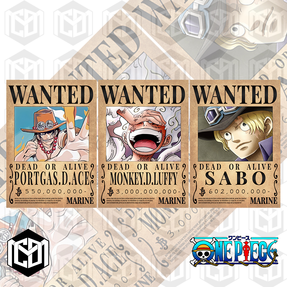 Anime Wanted Poster Fully Custom Wanted Poster You in Pirate - Etsy