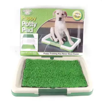 dog toilet mat