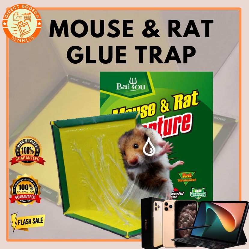 Direct Bodega ORIGINAL SET OF 10 Mouse Rat Glue Trap Rodent expert/Rat ...