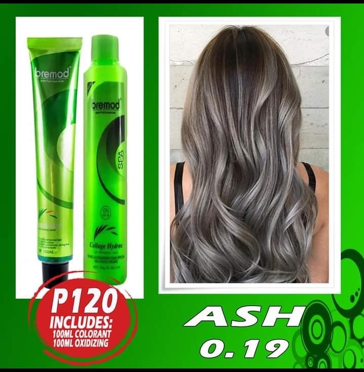 Ash 019 Bremod Hair Color With 100ml Oxidizing Lazada Ph