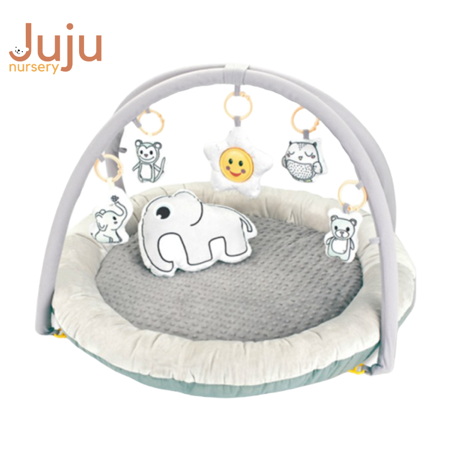 grey baby play gym