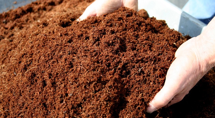 cocopeat / coco Coir High Quality for your lovely plants 1kilo per