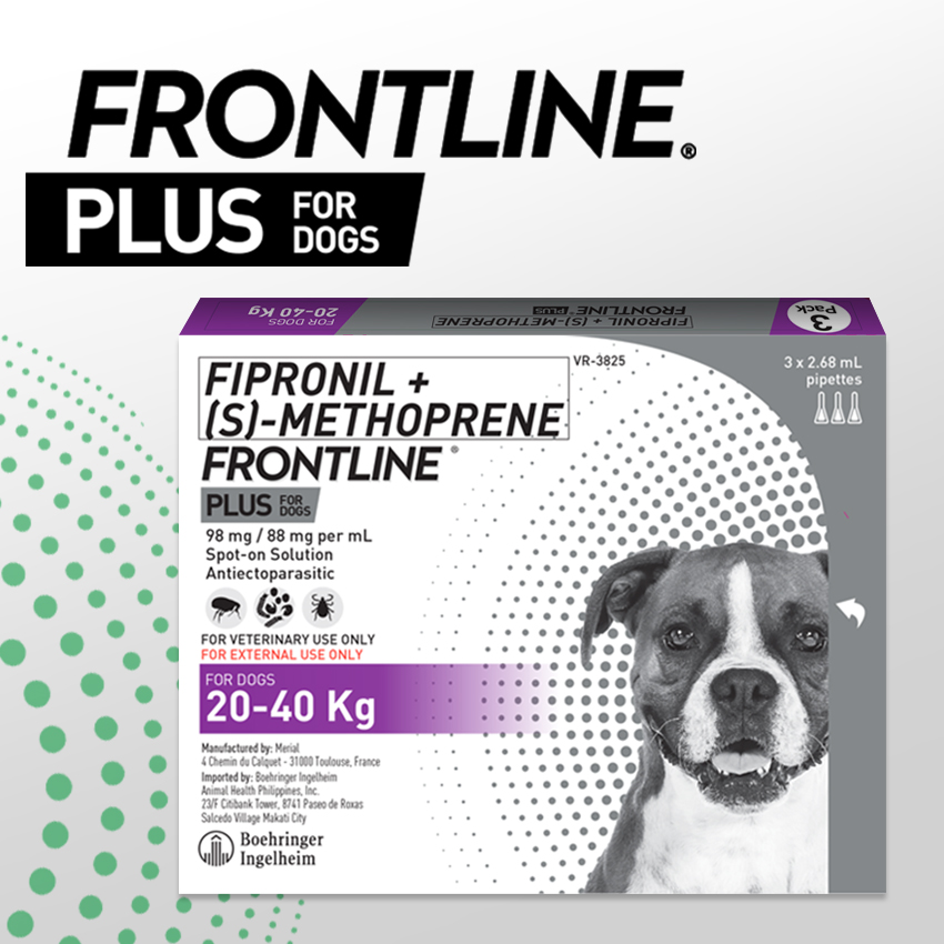 frontline flea