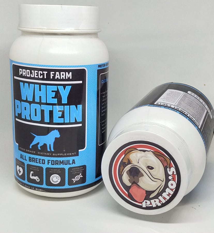 is-whey-good-for-dogs