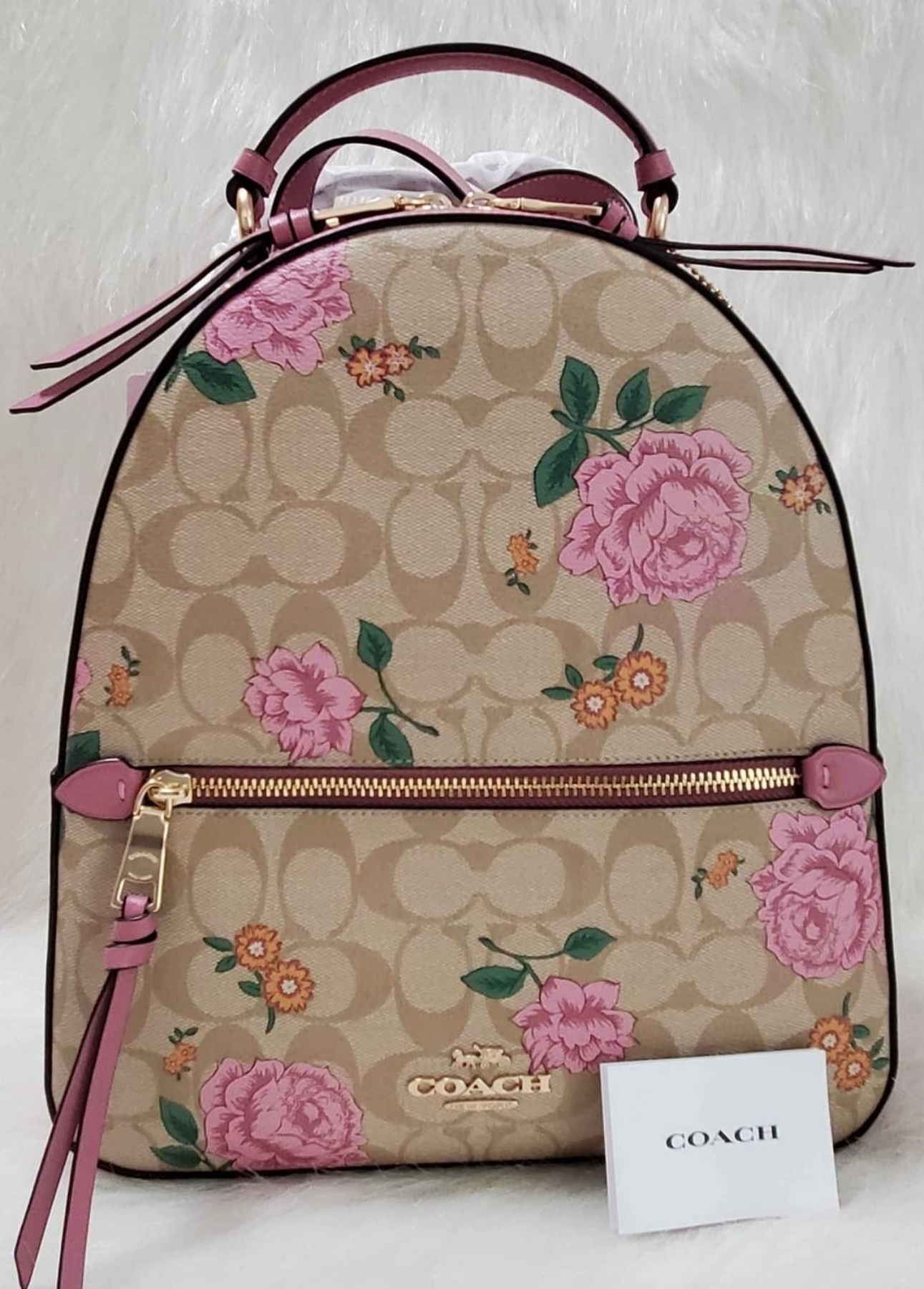 Court Backpack In Signature Canvas With Vintage 2024 Rose Print