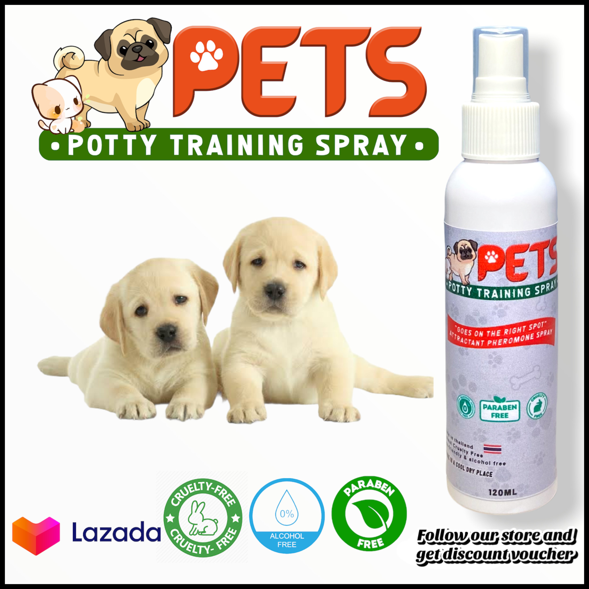 How To Potty Train A Dog To Poop Outside