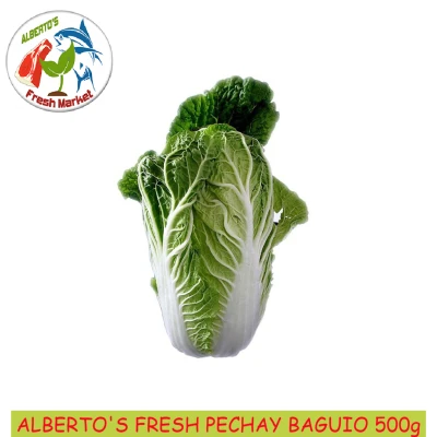 CHINESE CABBAGE ( PECHAY BAGUIO) 500g