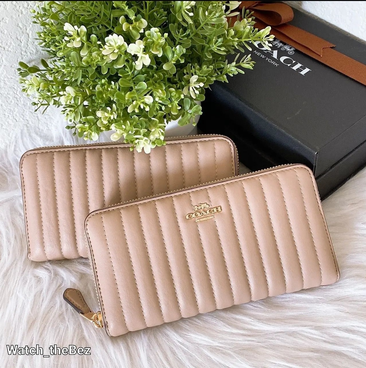 coach jasmine wallet