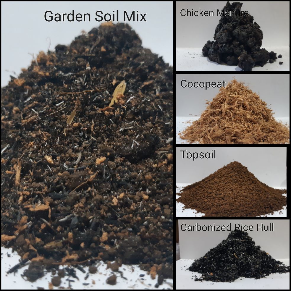 Garden Soil Mix 1 Kg Lazada Ph