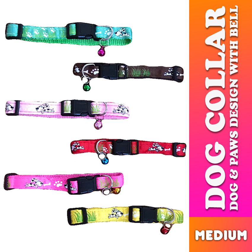 dog collar belt online