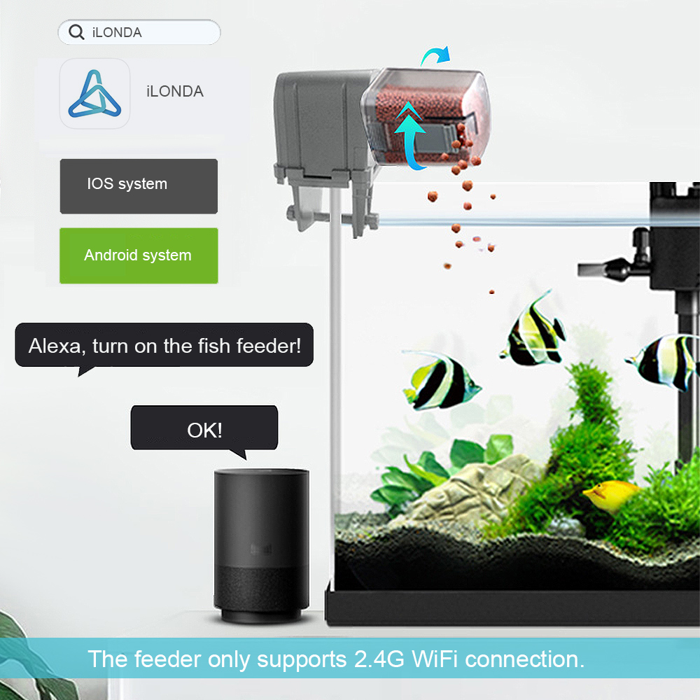 Máy cho cá ăn tự động có thể điều khiển bằng ứng dụng Alexa - INTL