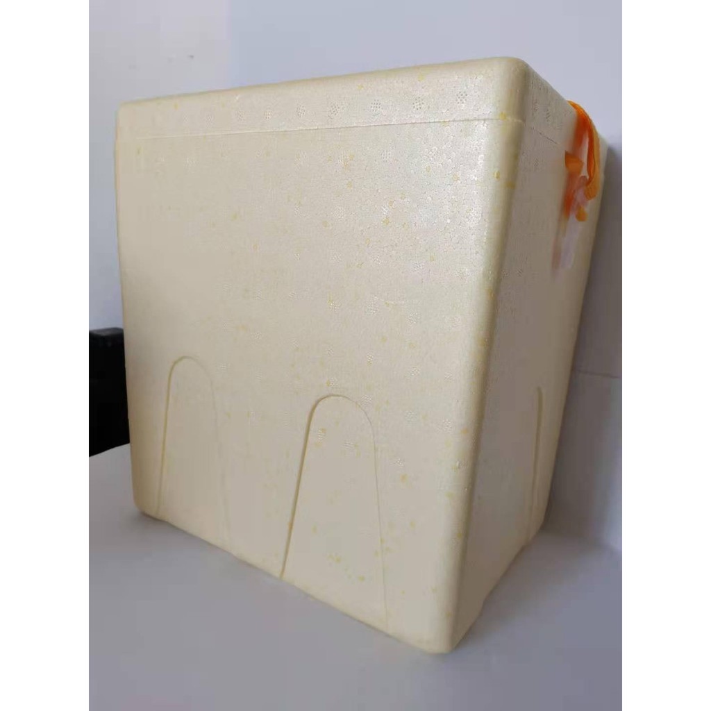 Styro Foam Ice Box xChest Boxx Lazada PH