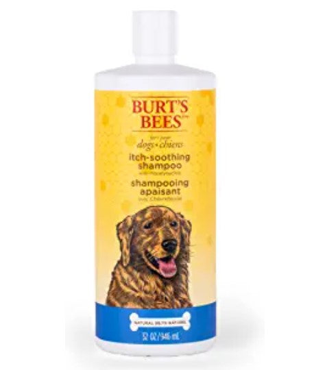 A closer look at All Natural Anti Itch Dog Shampoo