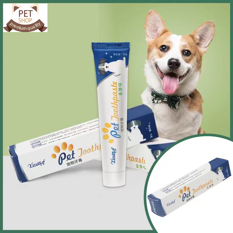 Can You Use Crest Toothpaste On Dogs