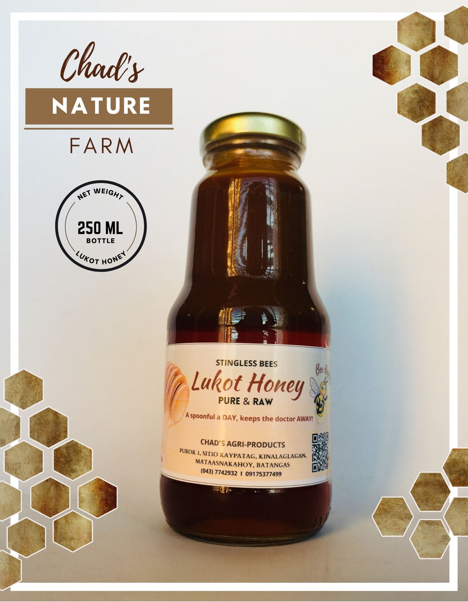 Pure & Raw Stingless Bee/Lukot Honey | Lazada PH