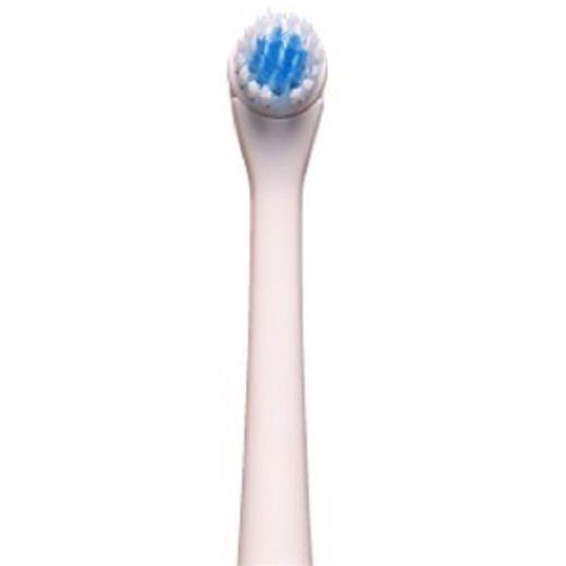 Watsons Battery Operated Toothbrush Lazada PH