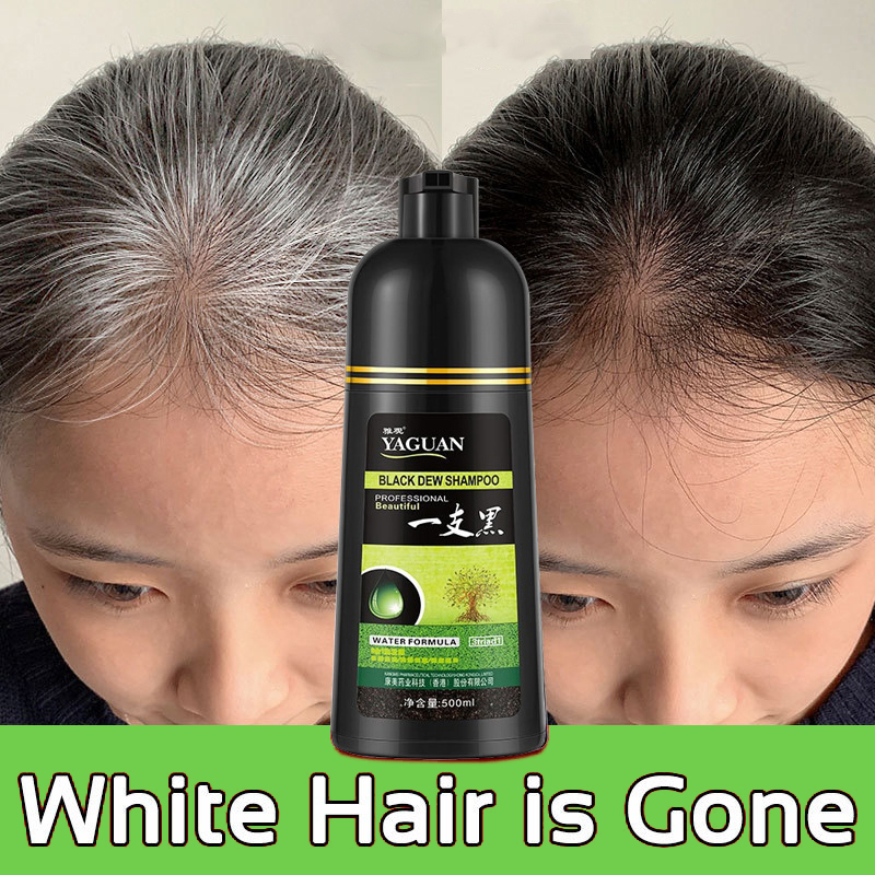500ML Japan Original Hair Coloring Hair Dye Turn Your White/Gray Hair