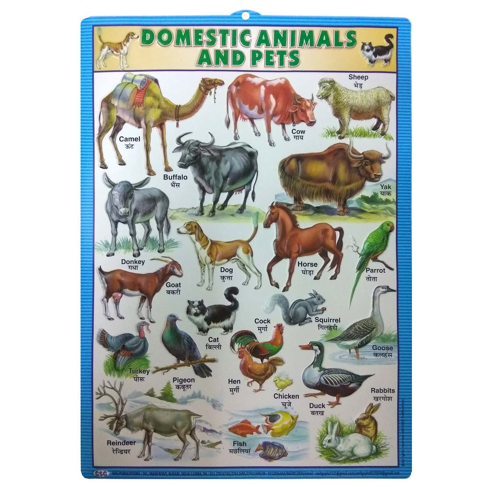 Best Item 1pc Embossed Plastic Chart /Educational Chart Numbers 1 to 10  Animals Shape and Color Body Parts | Lazada PH