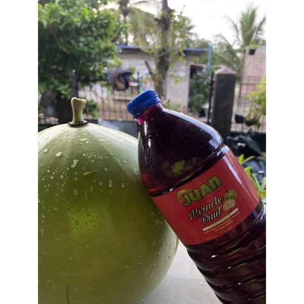 MIRACLE FRUIT JUICE/ CALABASH Juice 1000ml Lazada PH
