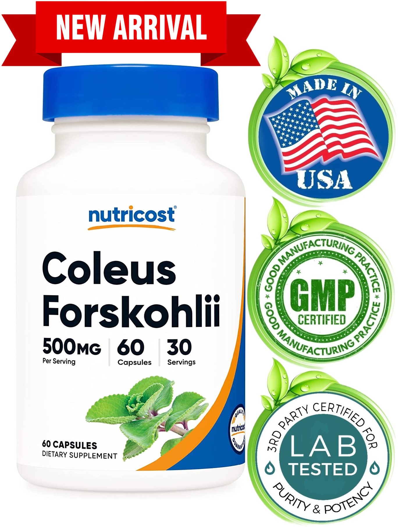 Forskolin Supplement Metabolism Booster And Natural Appetite