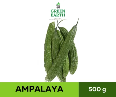 GREEN EARTH FRESH AMPALAYA 500g