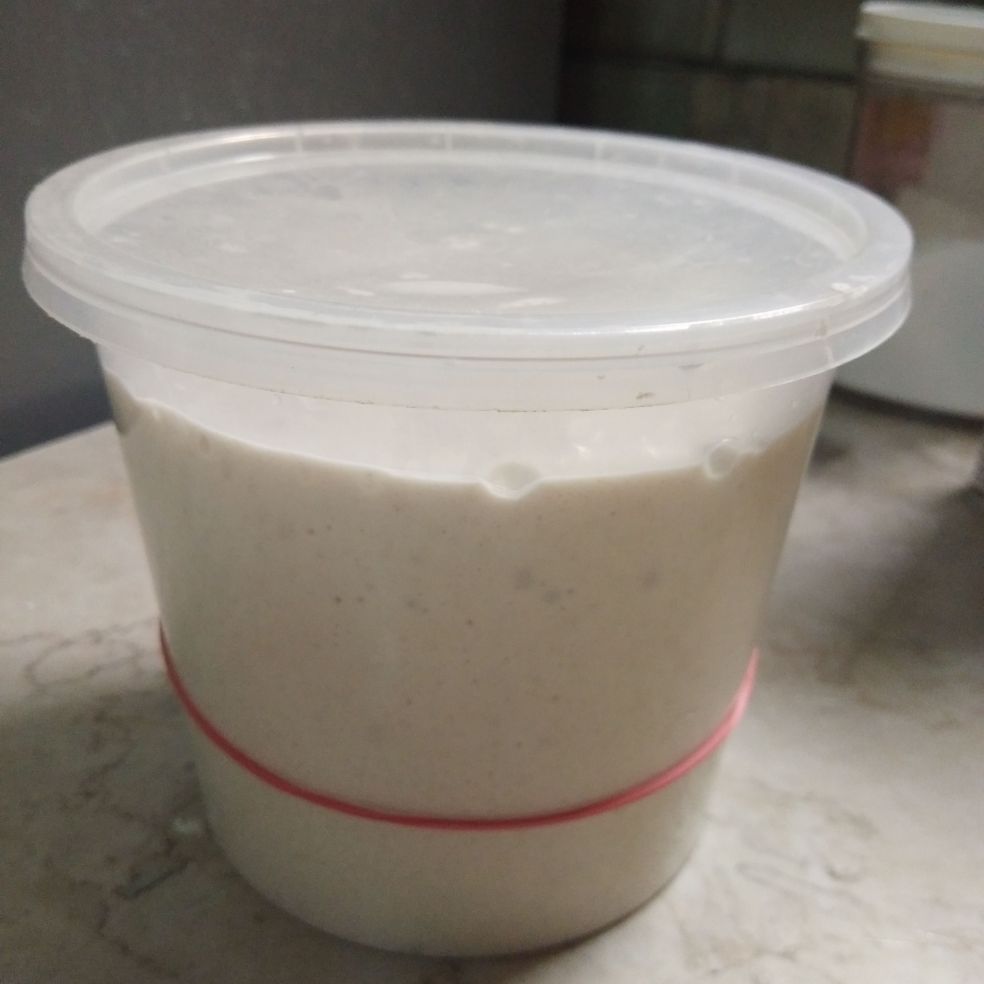 Sourdough Starter Lazada PH