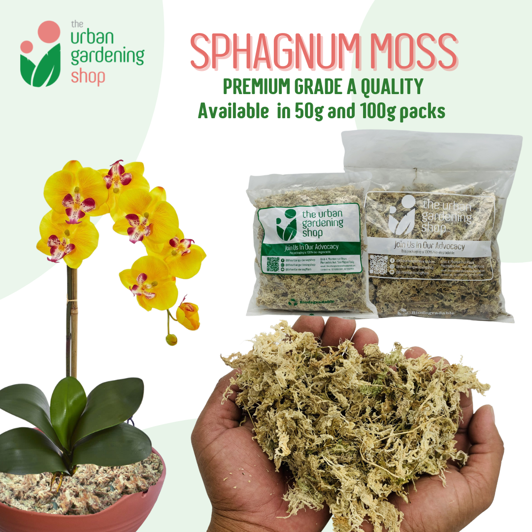 Top Grade A Quality Sphagnum Moss - Best for Orchids and Pet Bedding