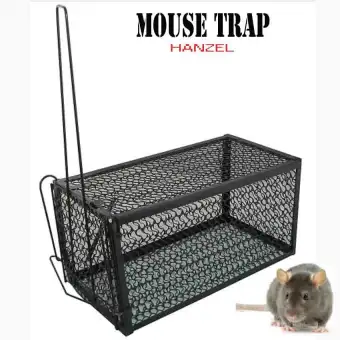 mouse catcher box