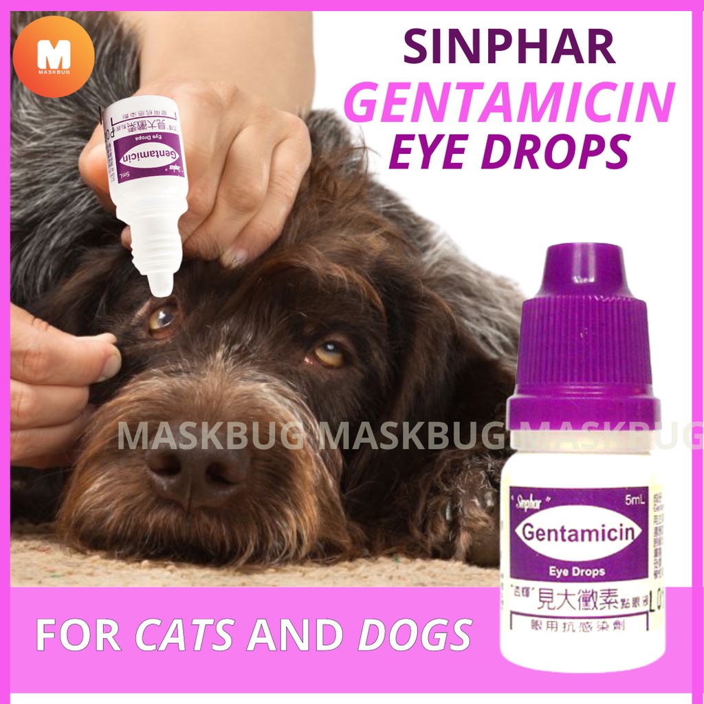 ♦DR.ROSSPH SINPHAR GENTAMICIN Eye Drops for Pet Prevent Irritation