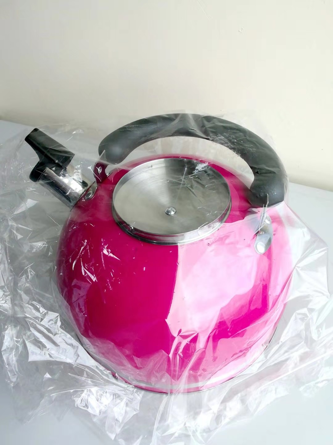 3.0L COLOR KETTLE 55S/0974 Lazada PH