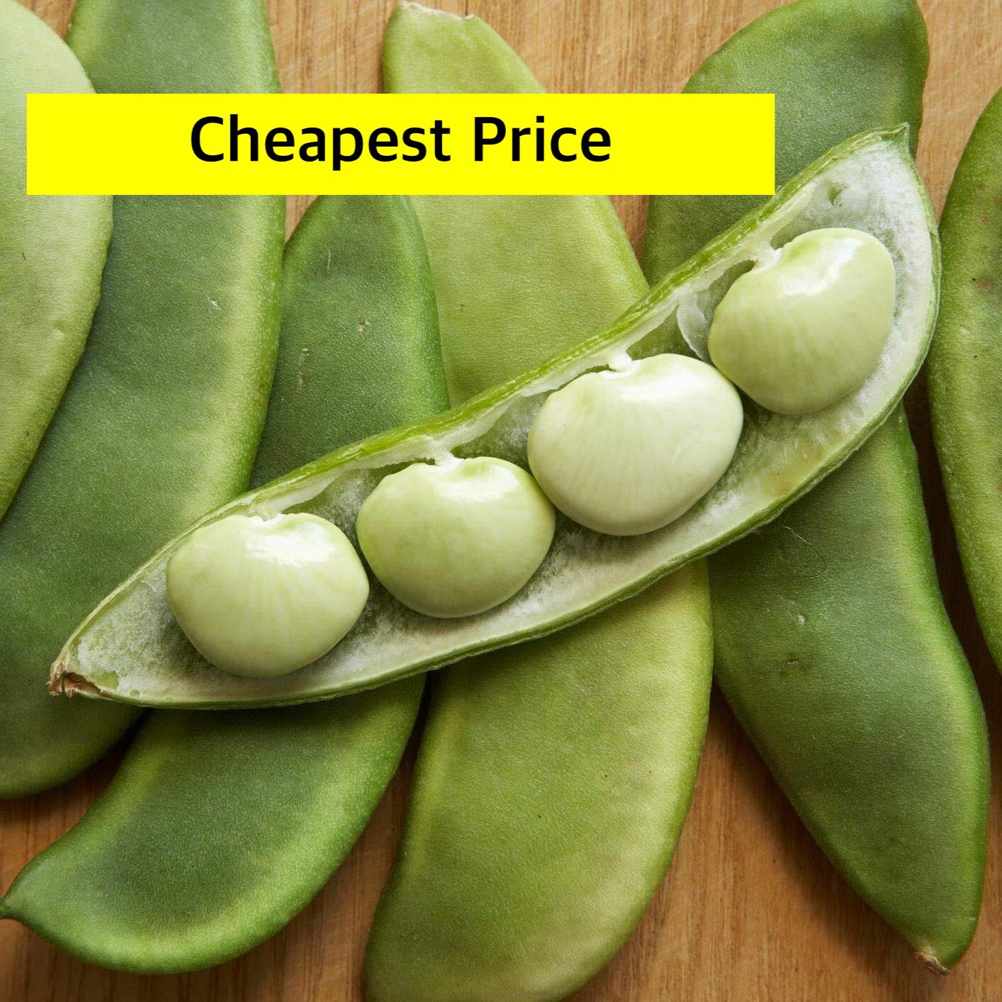 KS Lima Beans / PATANI BEANS 4grams 68 seeds Vegetables Plants Herbs