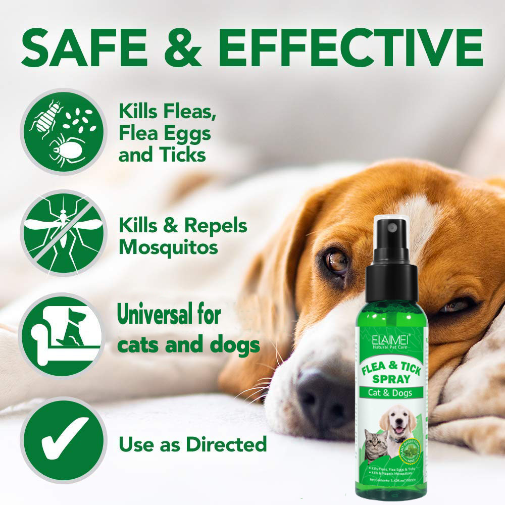 What Damage Can Fleas Do To Dogs