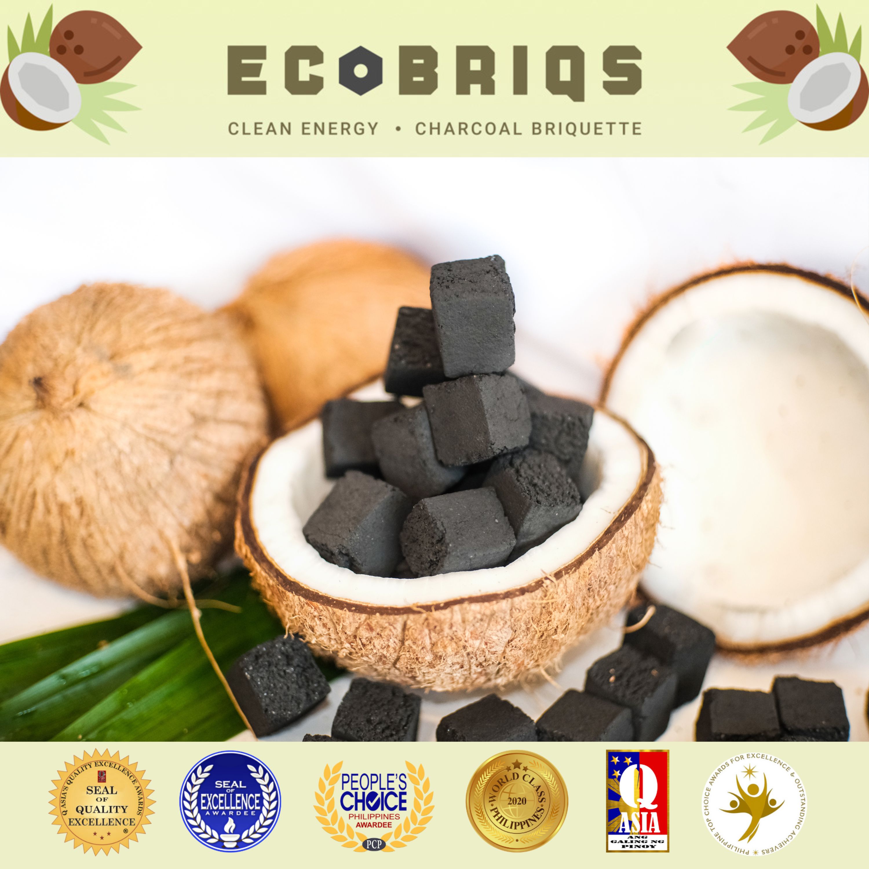 10pcs Ecobriqs Shisha Hookah Charcoal Lazada PH