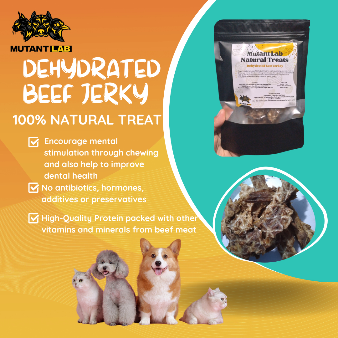 Dehydrated Beef Jerky by Mutant Lab 50 grams Vacuum Sealed High