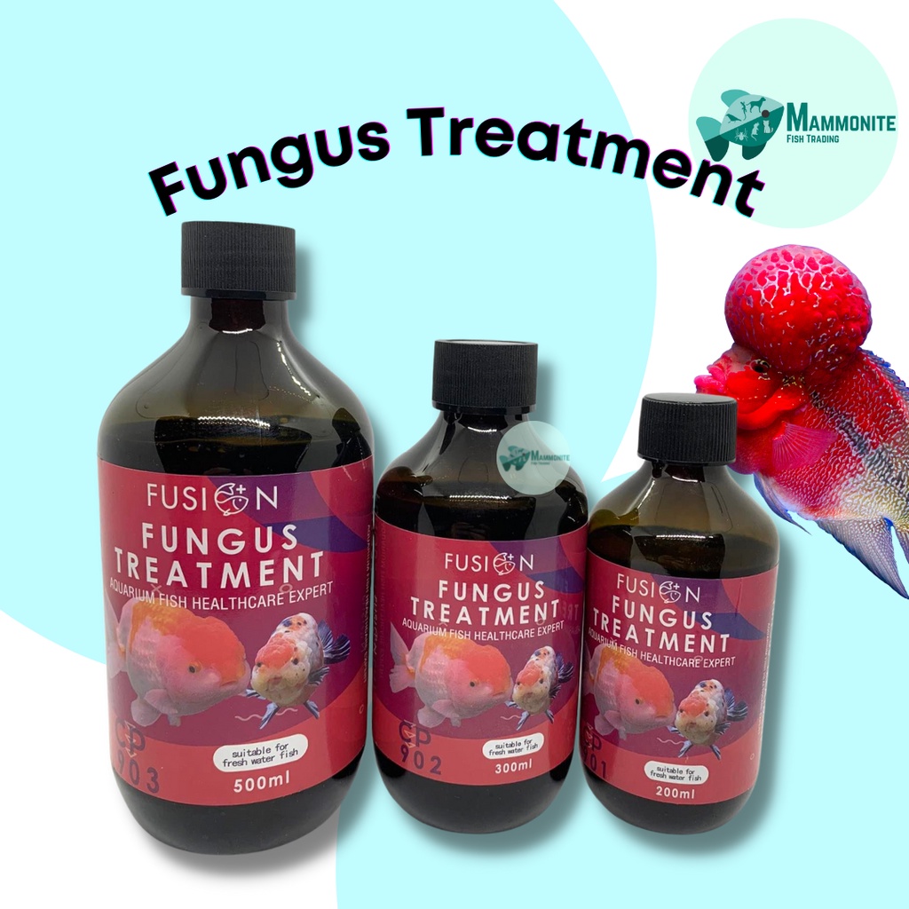 Aquarium Fish Fungus Disease Cure Treatment Anti-Bacterial 500mL 300mL ...
