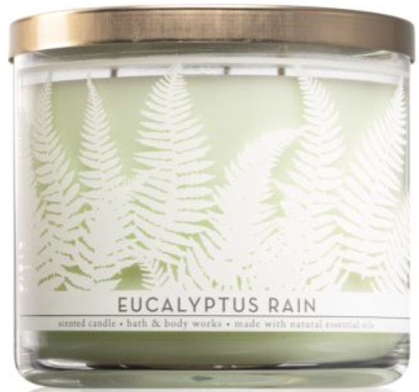 eucalyptus rain bath and body works candle