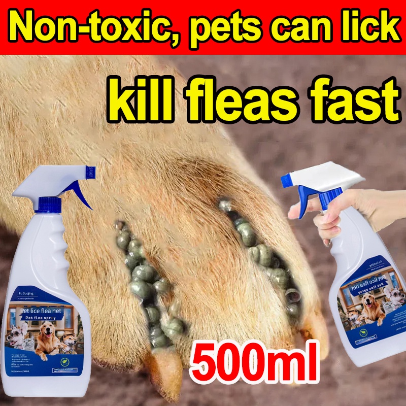 special offer Tick and Flea Killer Spary for Pet 500ml Nontoxic, Pets