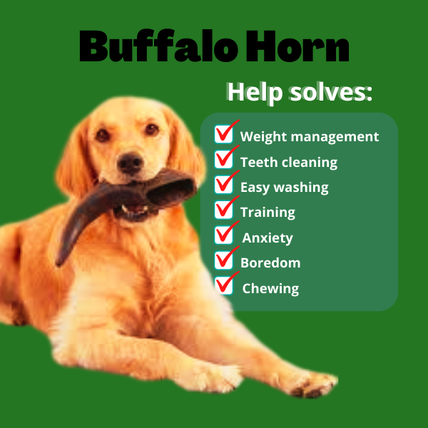 Sungay ng Kalabaw Pure buffalo Horn Real Carabao horn Antler for Dog