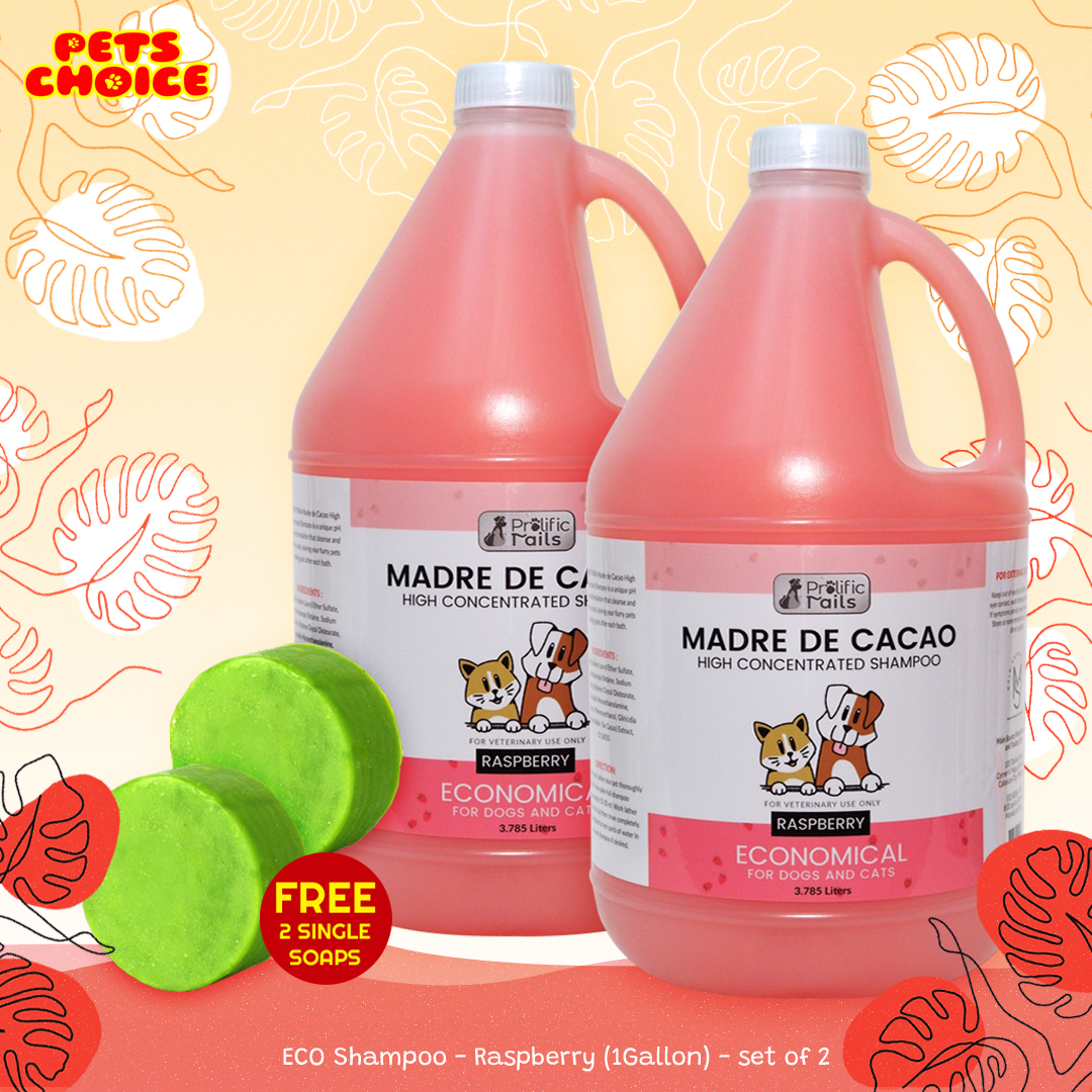 FIPRO-Prolific Tails Madre De Cacao Shampoo Raspberry Gallon Set of 2 ...