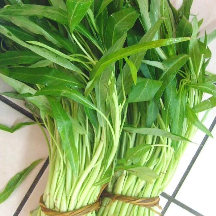 Chinese BIG Leaf Variety White Stem Kangkong Water Spinach Vegetable