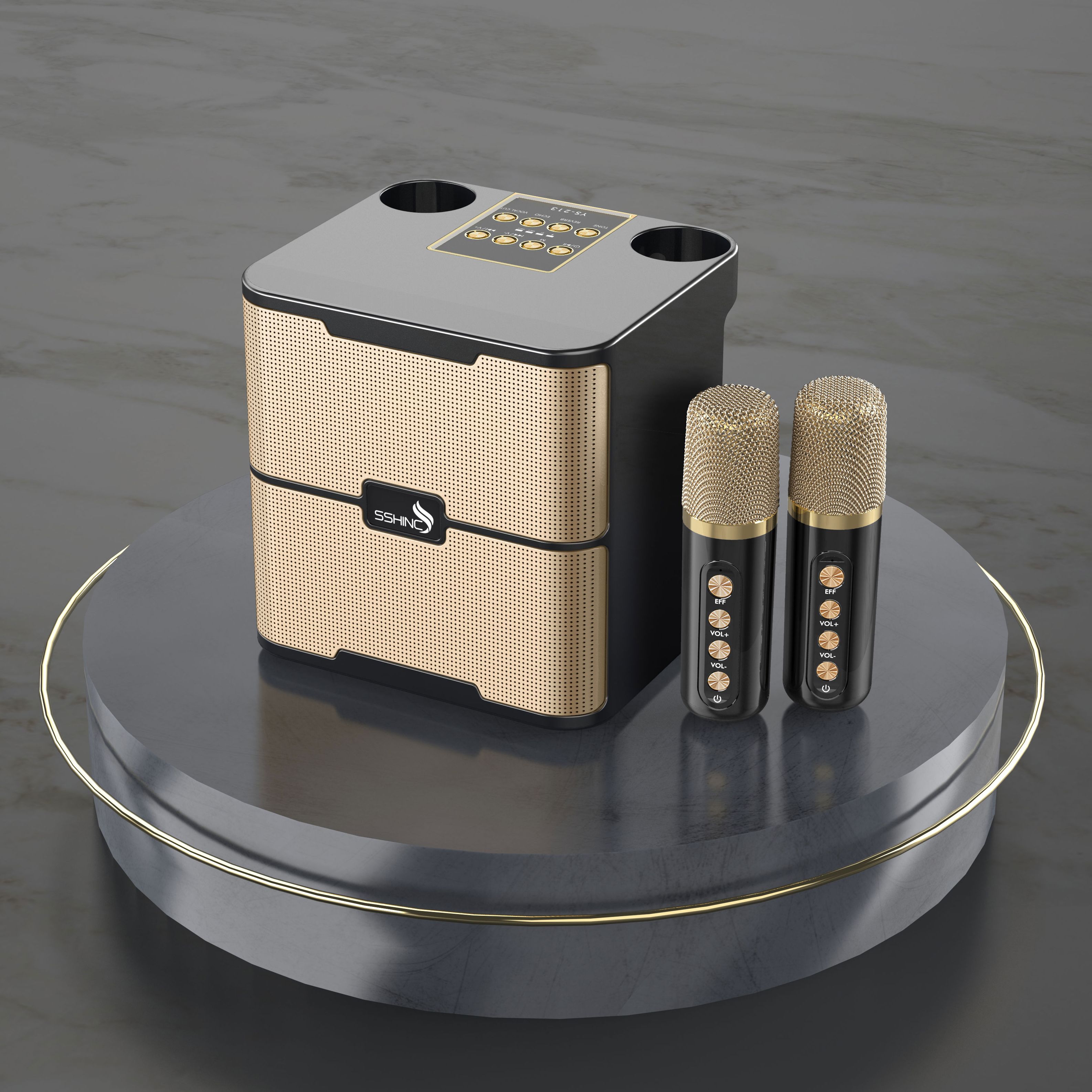 Portable speaker party speaker with wireless microphone YS213