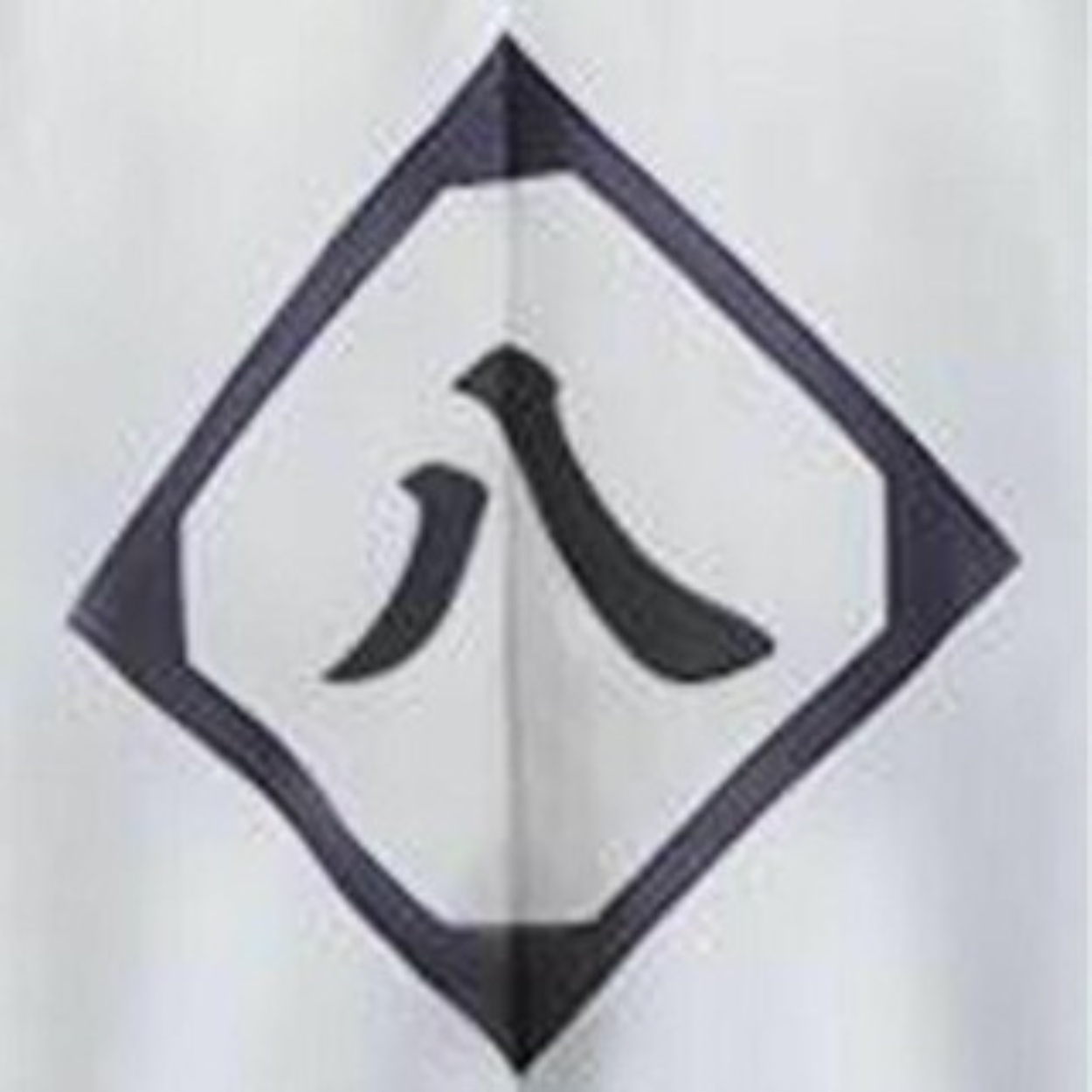 Bleach Captains Symbols