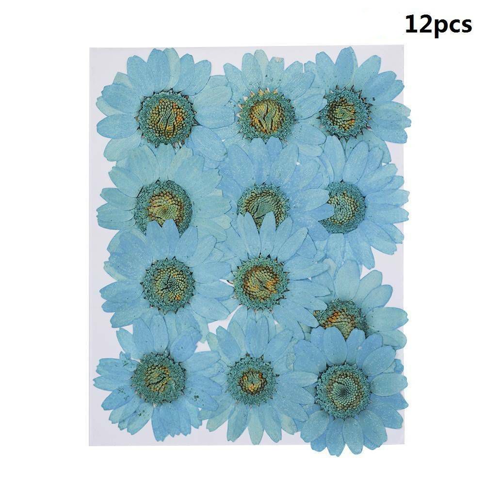 12PCS/Bag Pressed Daisy Dried Flower DIY Art Resin Jewelry Making Material