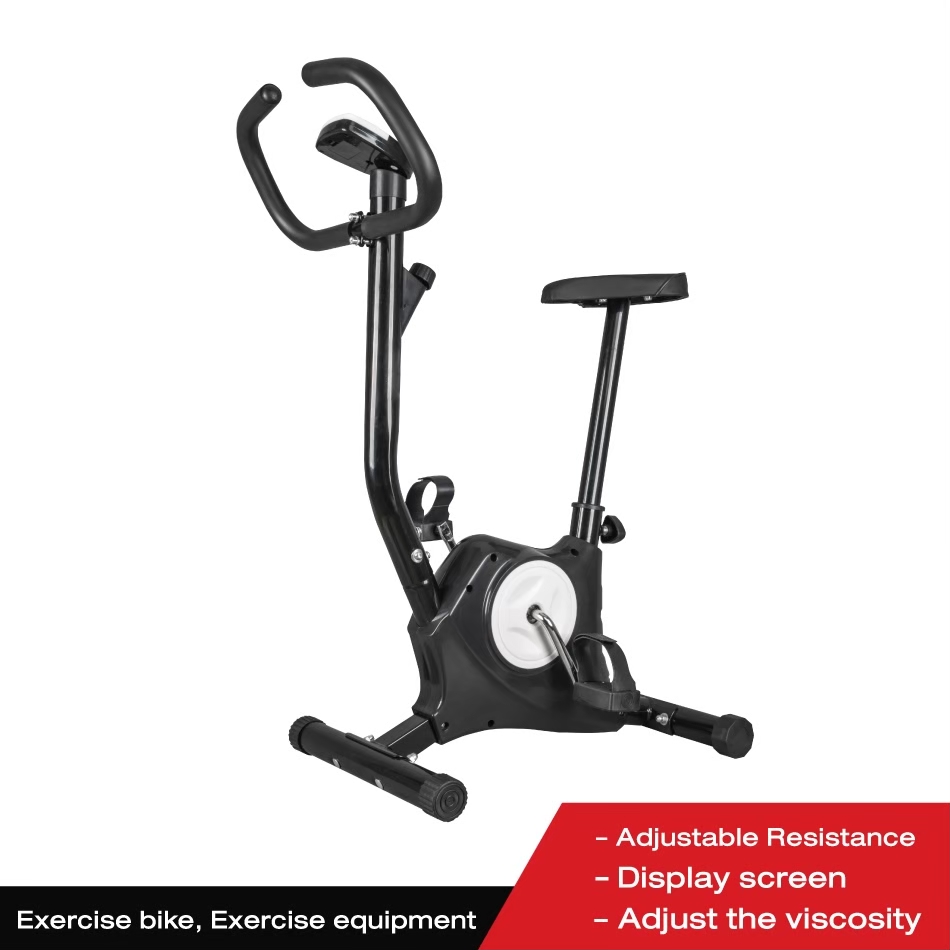 BG Sport Indoor Upright Stationary Exercise Bike Household Fitness